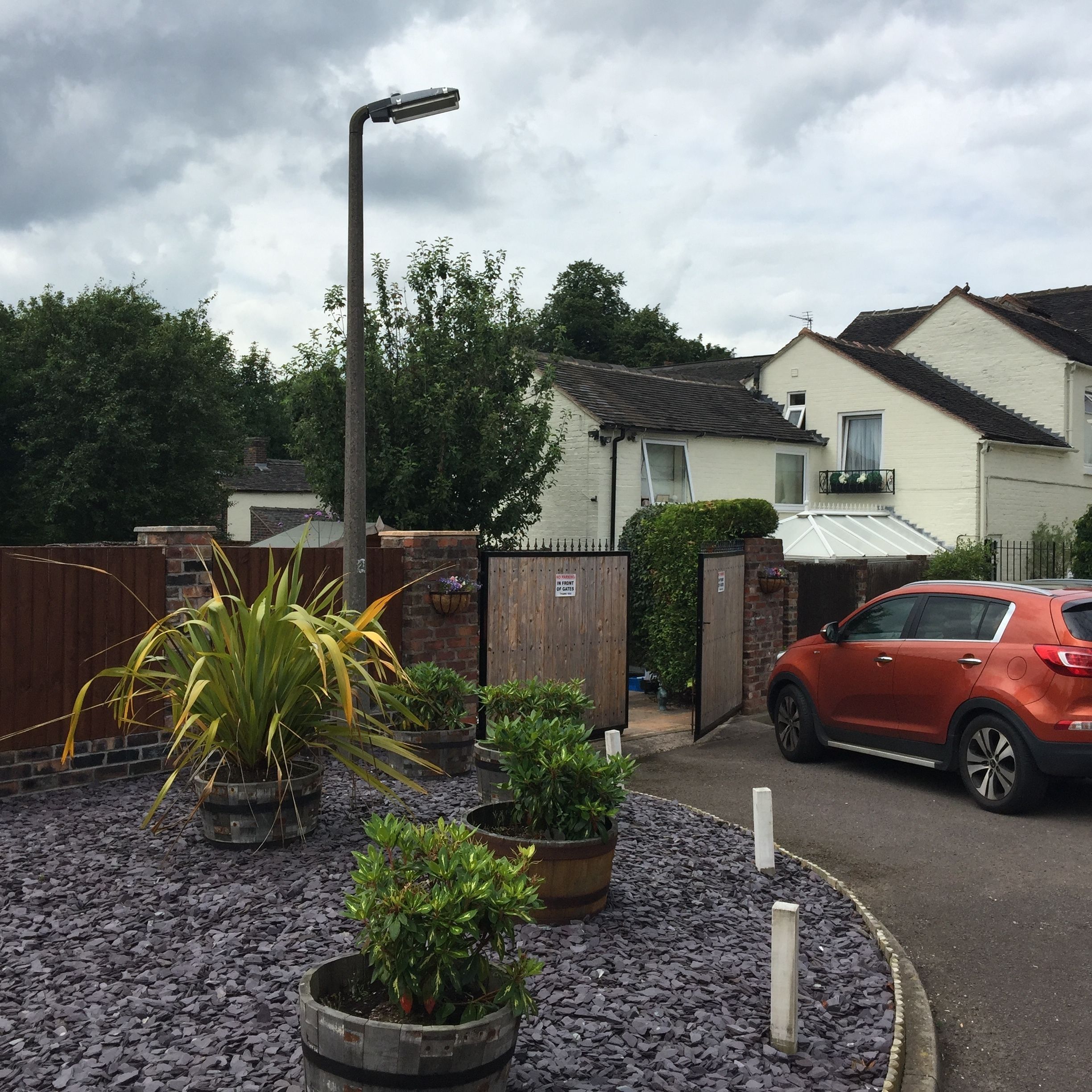 A residential area with a paved driveway, a red car parked on the street, and a variety of potted plants in the foreground.