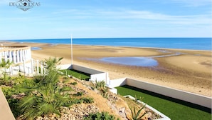 Una proprietà fronte mare con vista aperta sull'oceano, una spiaggia sabbiosa e una zona giardino curata con palme e rocce.