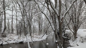 A snowy landscape with a river, trees, and a wooden deck. - Last Wk of Aug Open!! Enjoy the creek, close to Pigeon Forge (Sevierville)