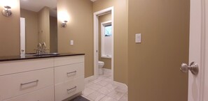 Une salle de bain avec un lavabo, un miroir et des toilettes.