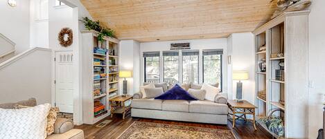 Televisión, chimenea, reproductor de DVD y libros