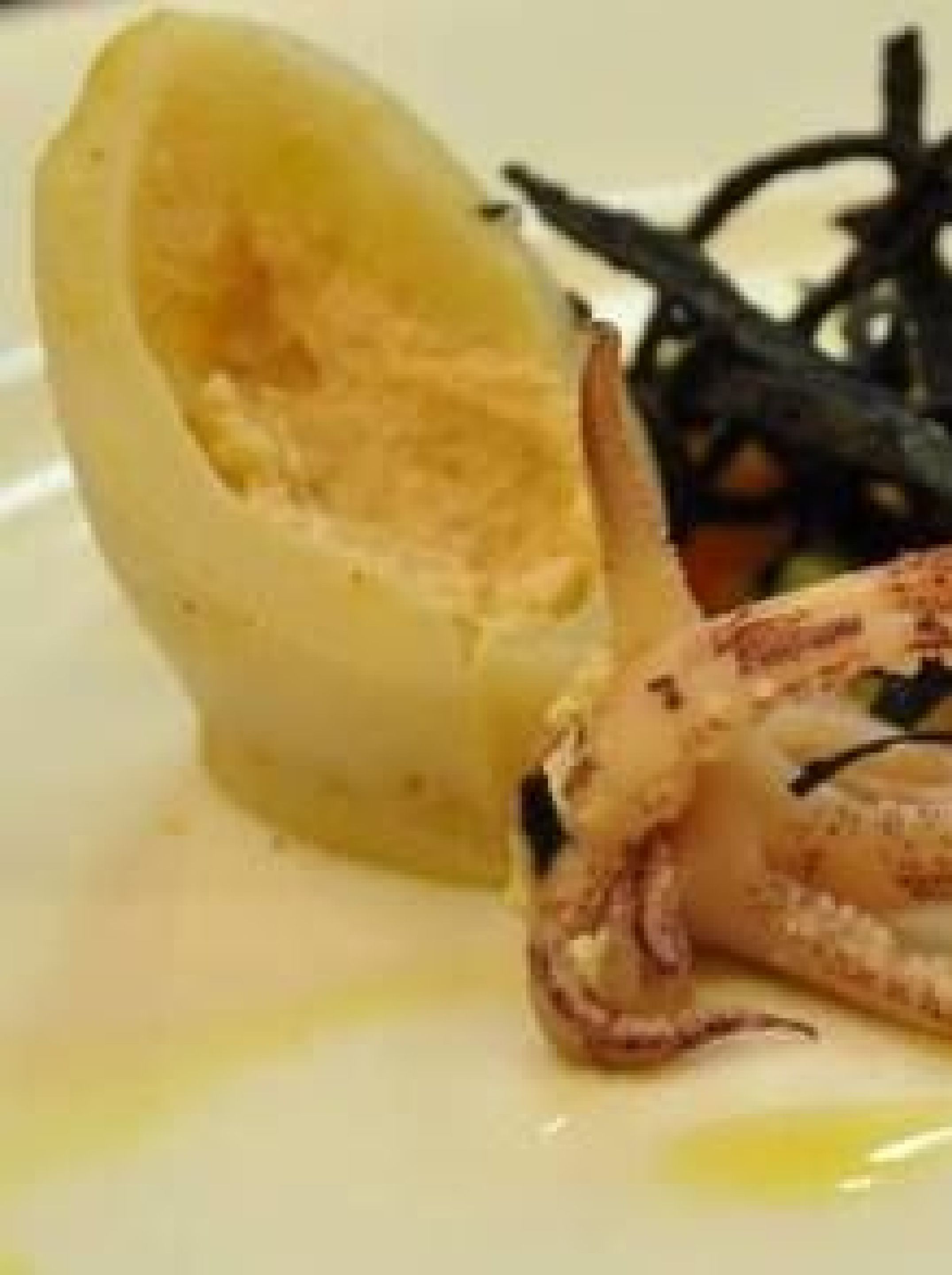 Un plato con pulpo a la parrilla y un limón hueco.