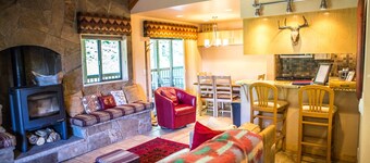 Luxury Condo ON the Slope - The Best Ski-In Ski-Out at Purgatory - Edelweiss #1