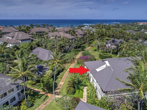 A residential area with houses, palm trees, and a clear view of the ocean.