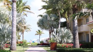 A pathway lined with palm trees and a building with balconies. - Crescent 1 Grace Bay Beach (Providenciales)