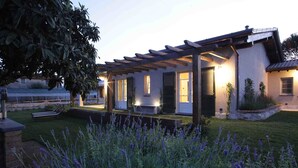 A modern house with a covered patio, a well-maintained lawn, and lavender plants. - Olimagio (Pietrasanta)