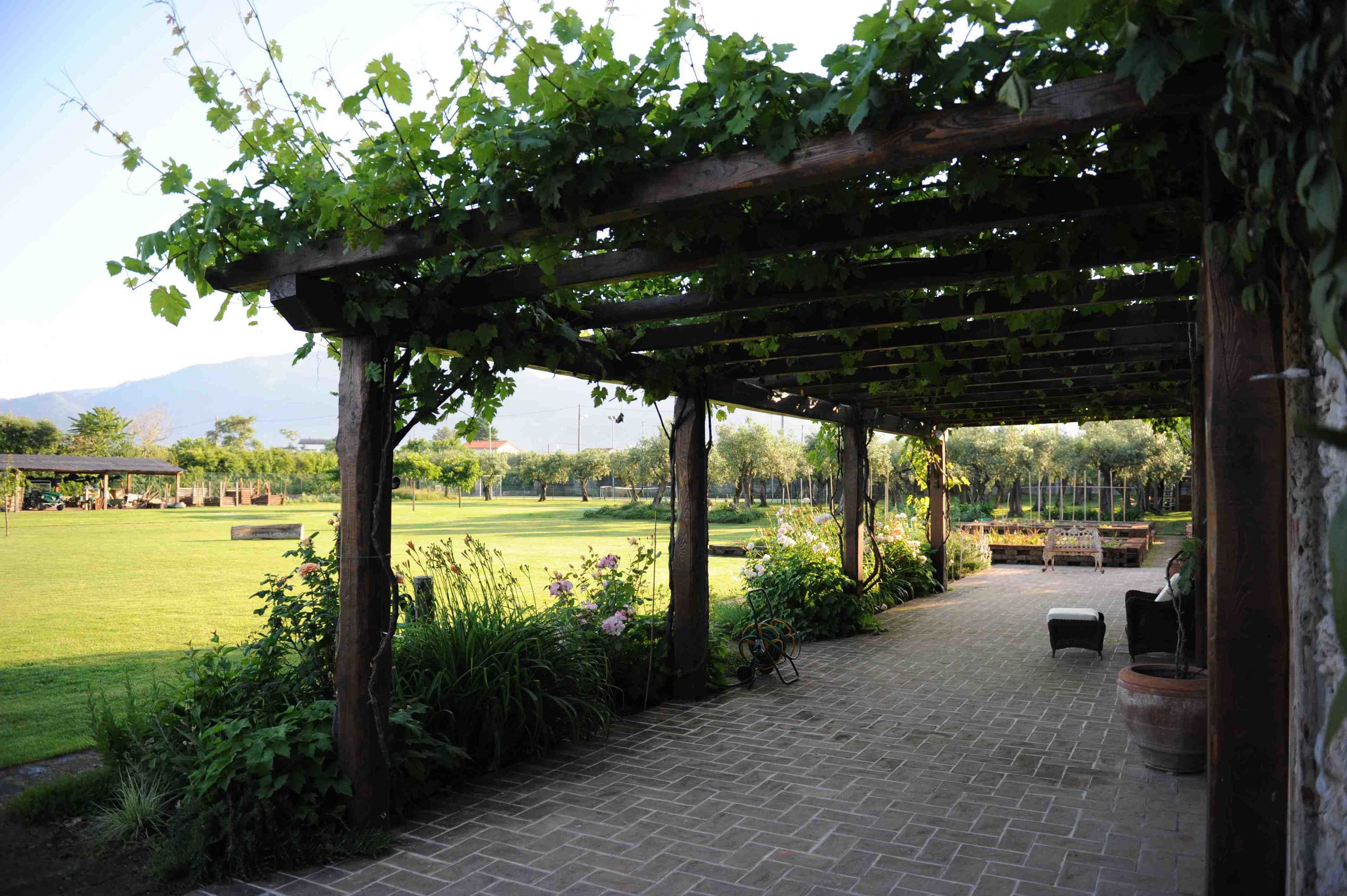 Apartment, 3 Bedrooms, Garden View | Terrace/patio