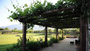 A covered outdoor area with a brick pathway, wooden pergola, and seating. - Olimagio (Pietrasanta)