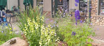 Beautiful Estes Park 2 Bedroom Loft in the ❤️ of town with Air Conditioning