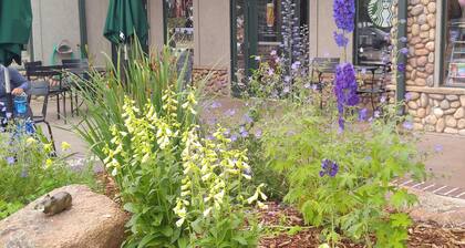 Beautiful Estes Park 2 Bedroom Loft in the ❤️ of town with Air Conditioning