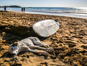 Surfing