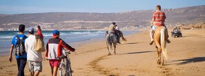 Une plage où l’on peut voir des gens faire de l’équitation et conduire des quads.