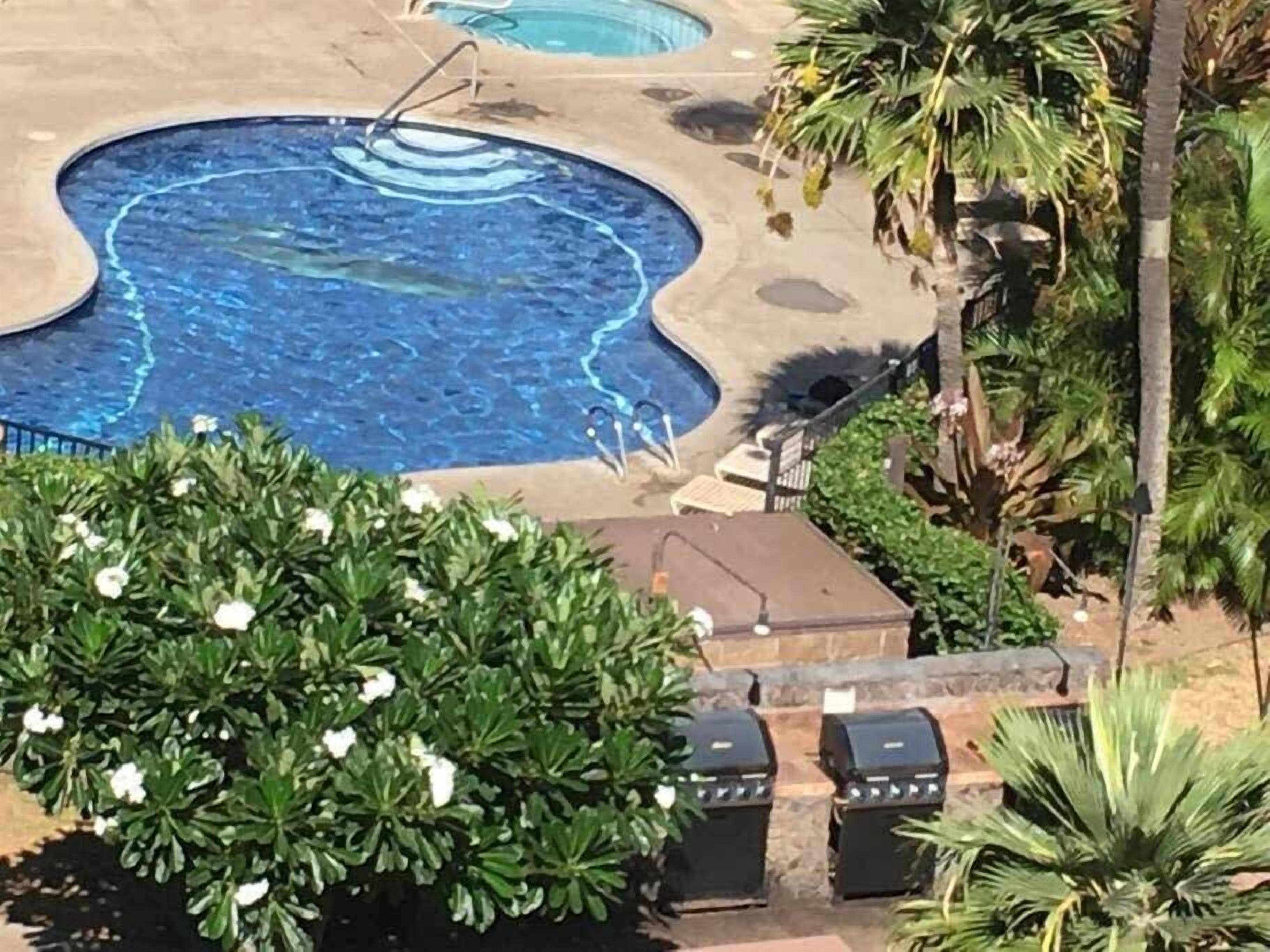 Una piscina con bordo ondulato, circondata dal verde e da due barbecue.