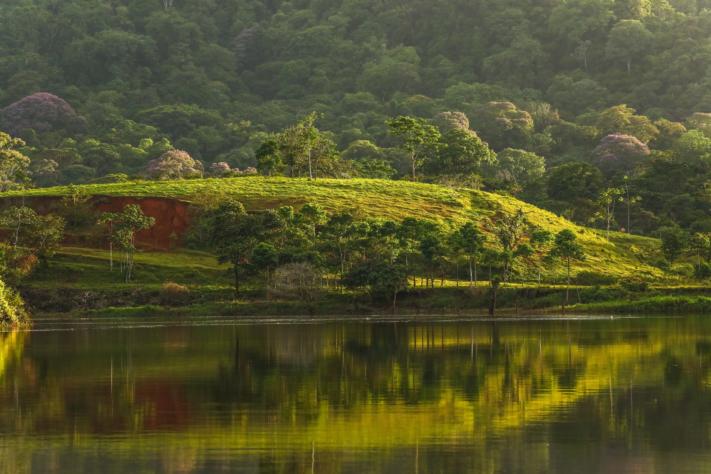 Quang cảnh mặt nước