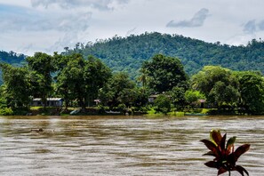 Vista desde la propiedad