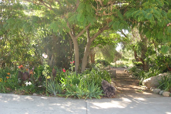 Entrance to the meditation garden . View from front door of cottage.