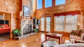 TV, fireplace, DVD player, books