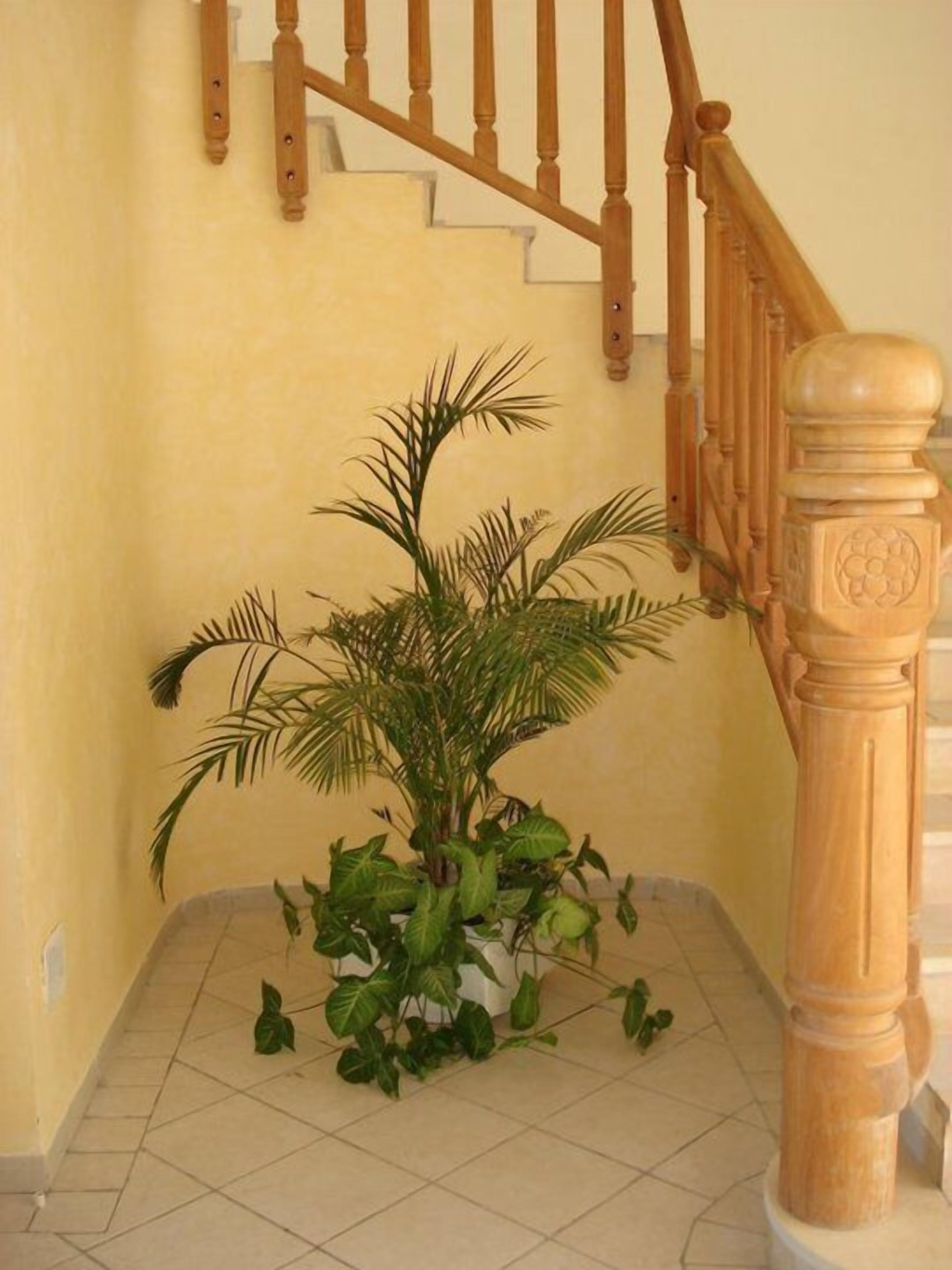 Foto - Hotel FLAMINGO BEACH