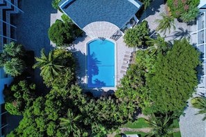 An aerial view of a swimming pool surrounded by lush greenery and a paved walkway.