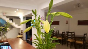 Interior de un restaurante con comedor, mesas, sillas y una planta en un jarrón.