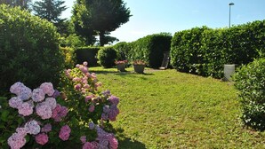 Um jardim bem cuidado, com sebes aparadas, gramado e plantas floridas.