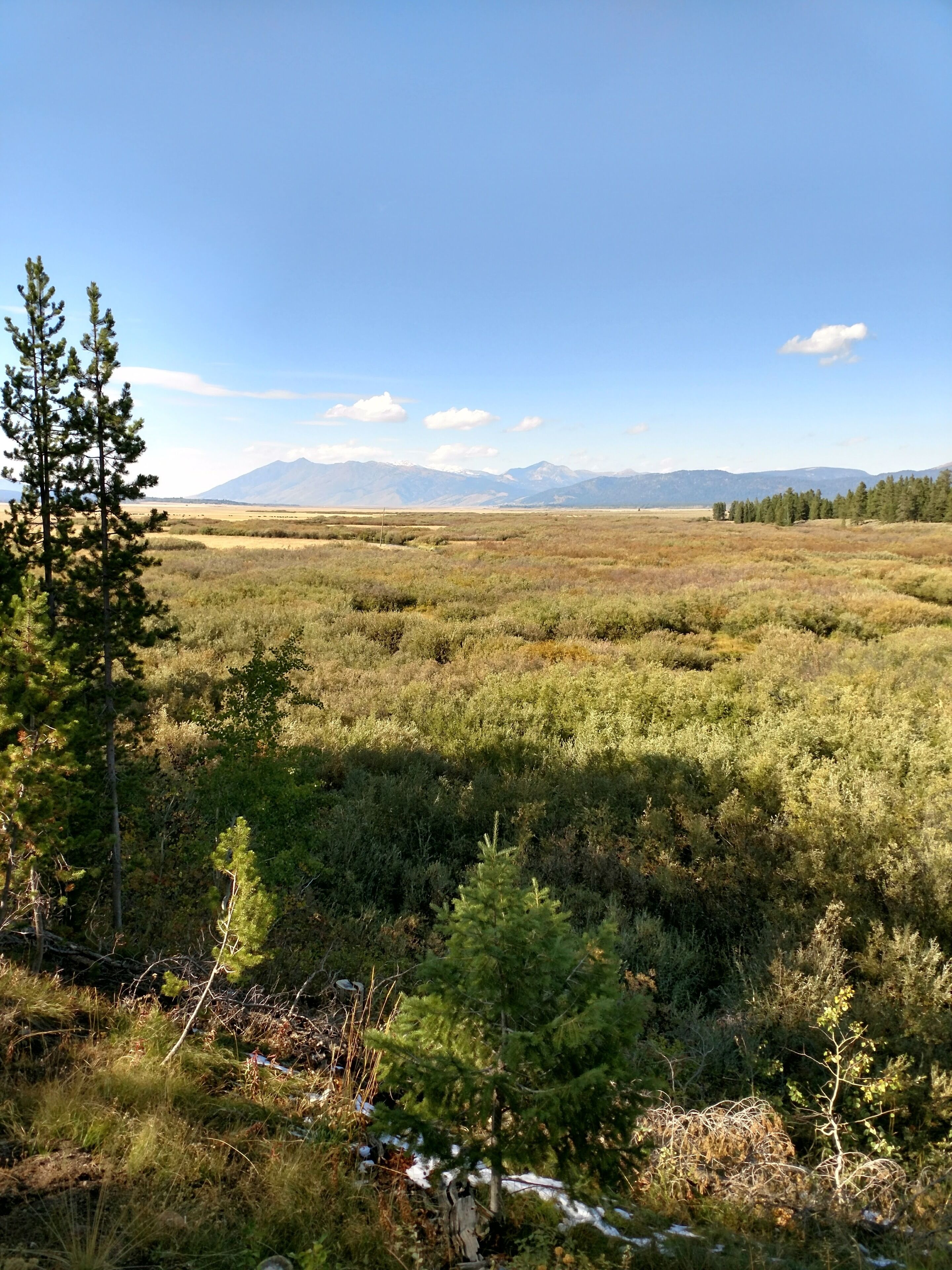 Un paysage naturel caractérisé par un ciel dégagé, une chaîne de montagnes à l’horizon et une végétation variée comprenant des arbres et des arbustes.