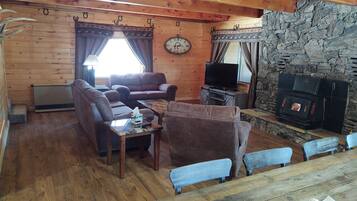 TV, fireplace, books