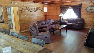 TV, fireplace, books