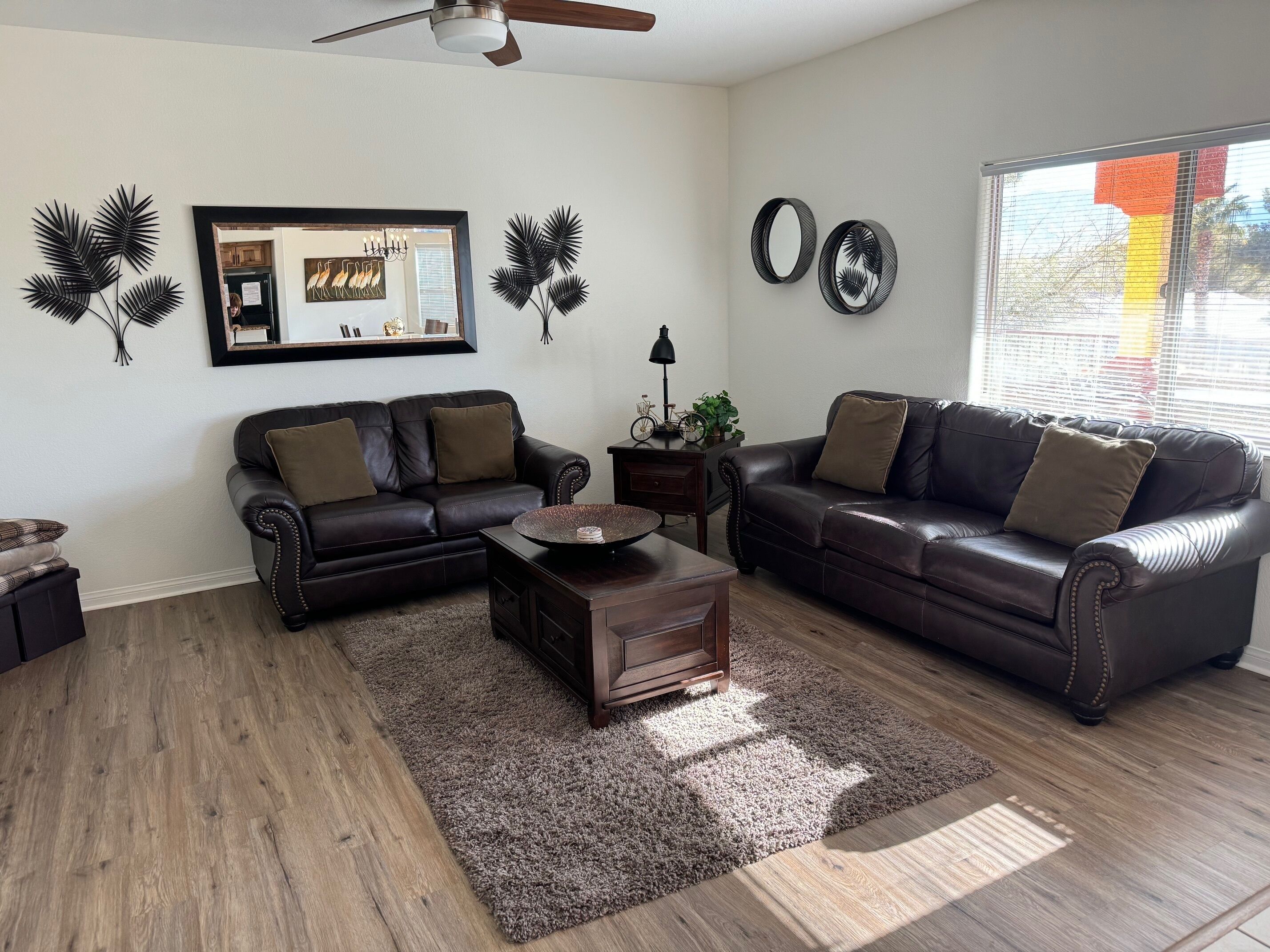 Smart TV, DVD player, video library