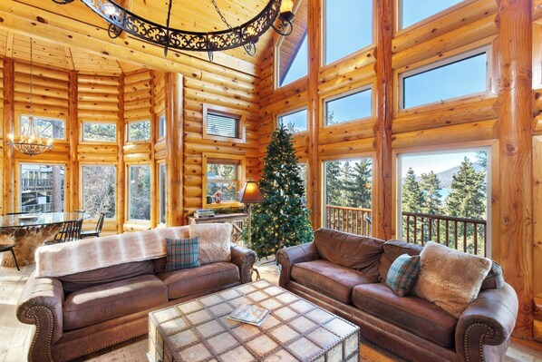 TV, fireplace, foosball