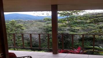 Cabin, Mountain View | Balcony
