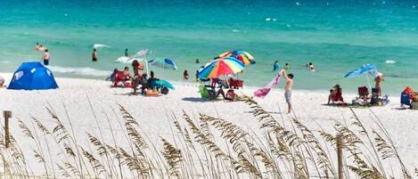 بالقرب من الشاطئ