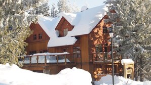 Een houten chalet met een met sneeuw bedekte dak en meerdere ramen, omringd door sneeuwzware bomen.
