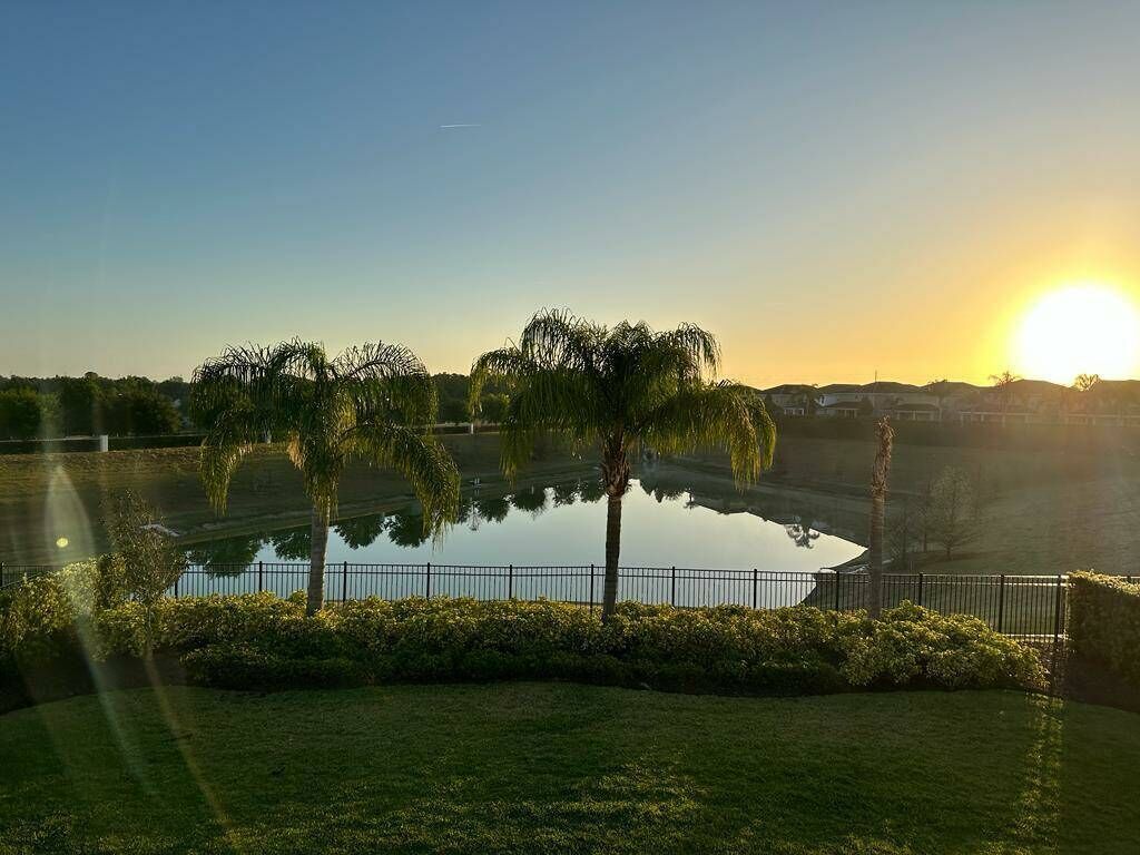 A serene landscape with a pond, palm trees, and a clear sky during sunset.