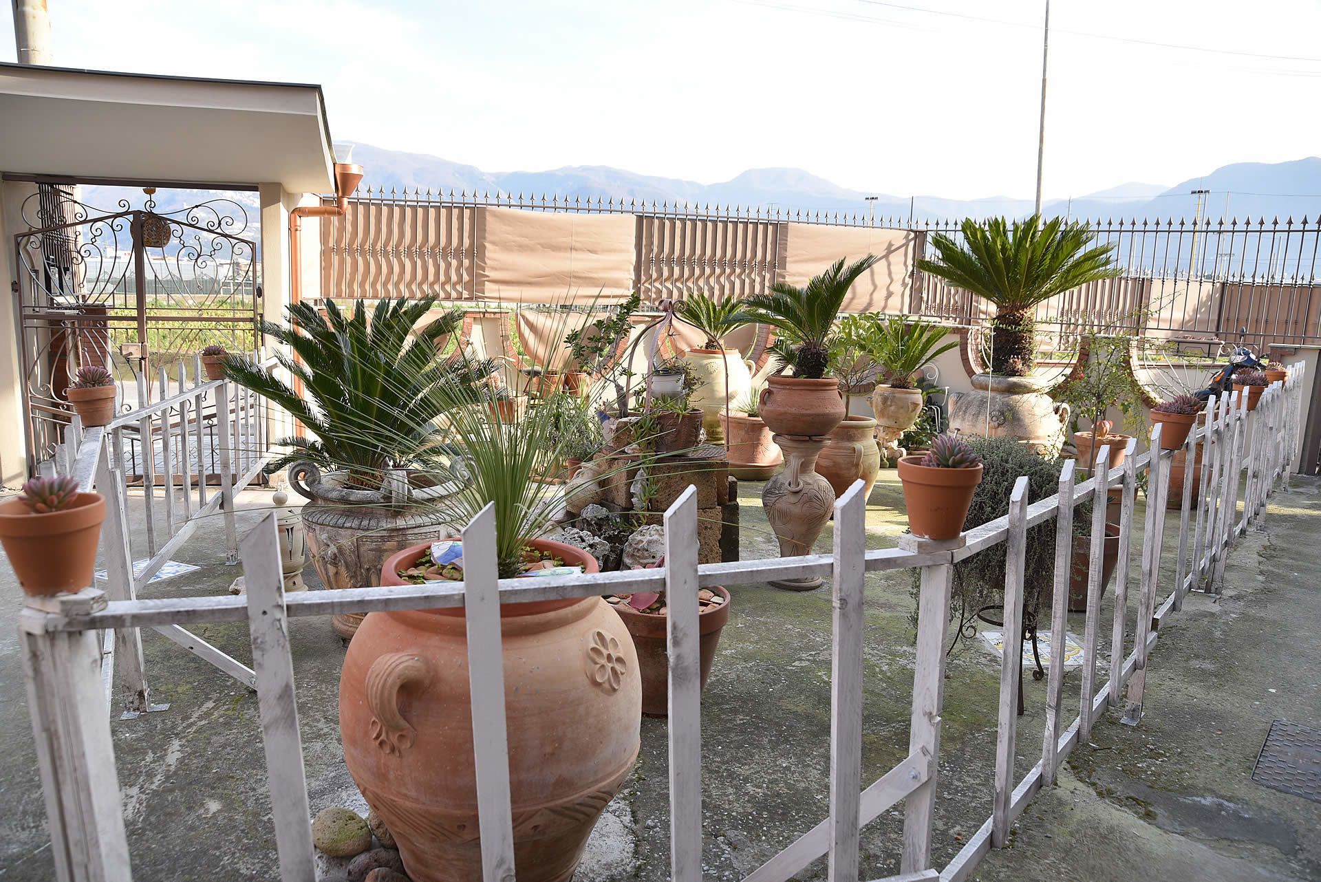 Photo - B&b Le Cycas