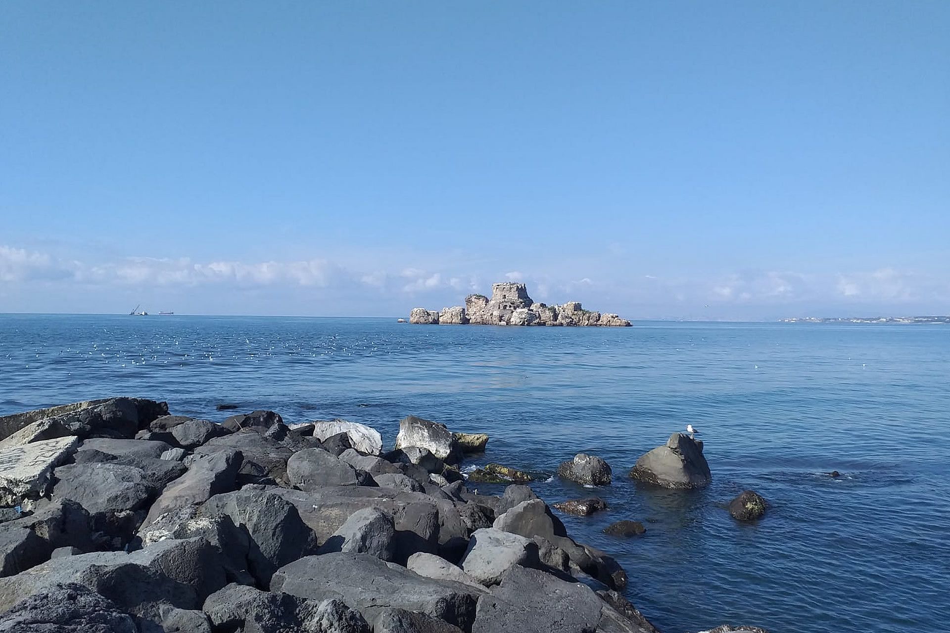 Photo - B&b Le Cycas