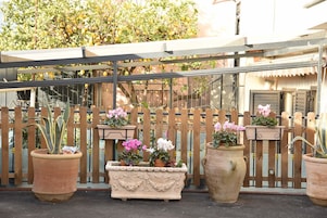 Un jardín con plantas en macetas y un cerco de madera.