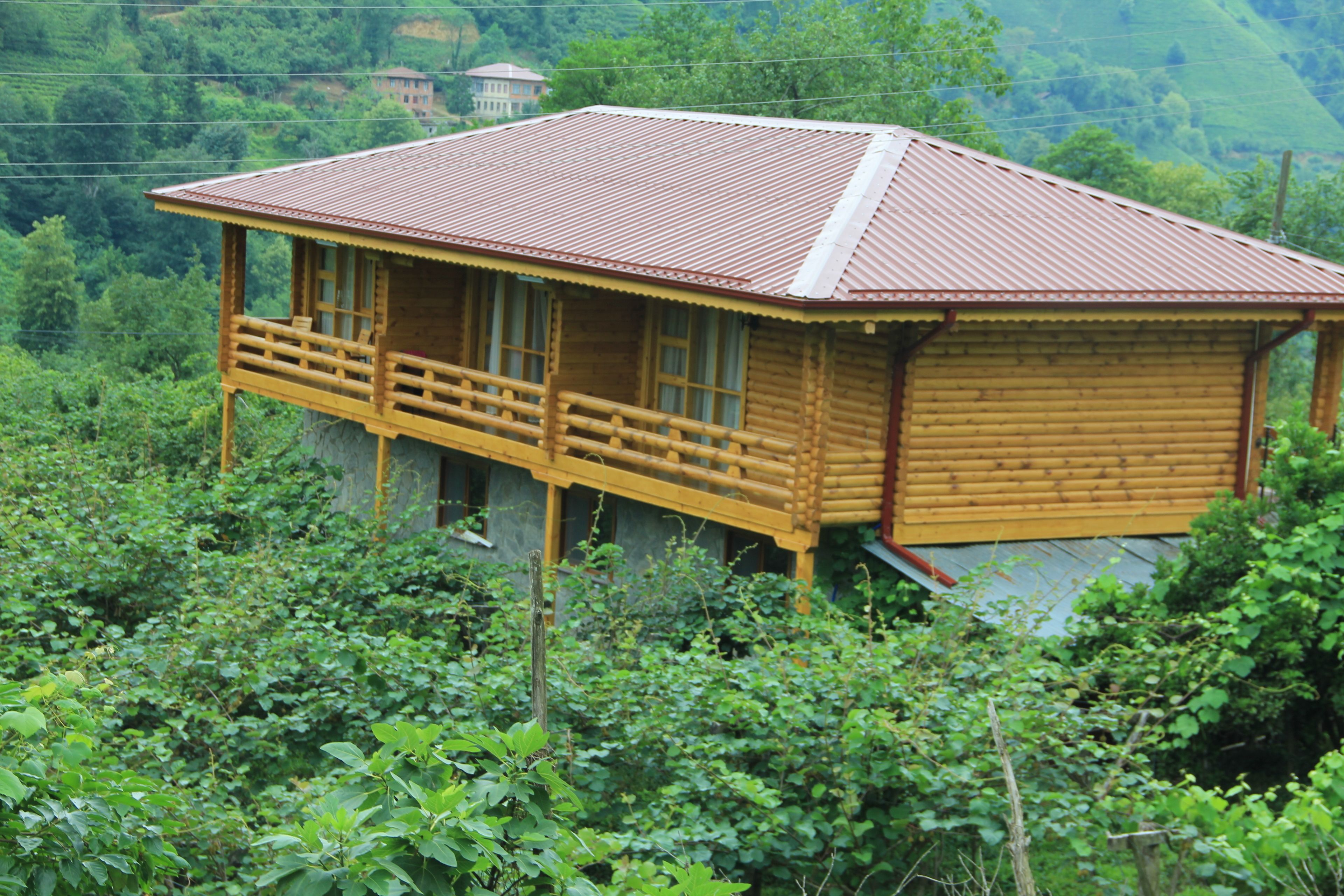 Une cabane en bois dotée d’un balcon, entourée d’une végétation luxuriante.