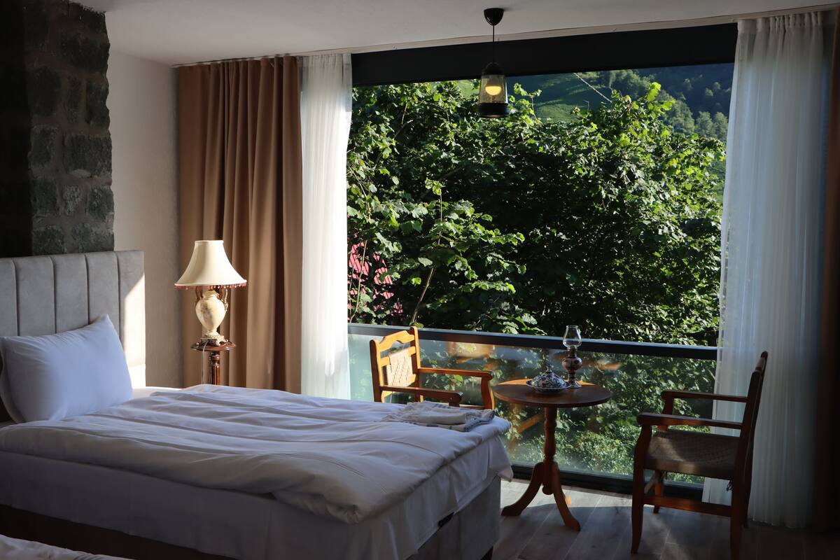 Egyptian cotton sheets, premium bedding, down comforters, WiFi (free)