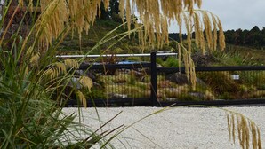 Un jardín con un sendero de grava, una cerca negra y diversas plantas, incluyendo pastos altos.