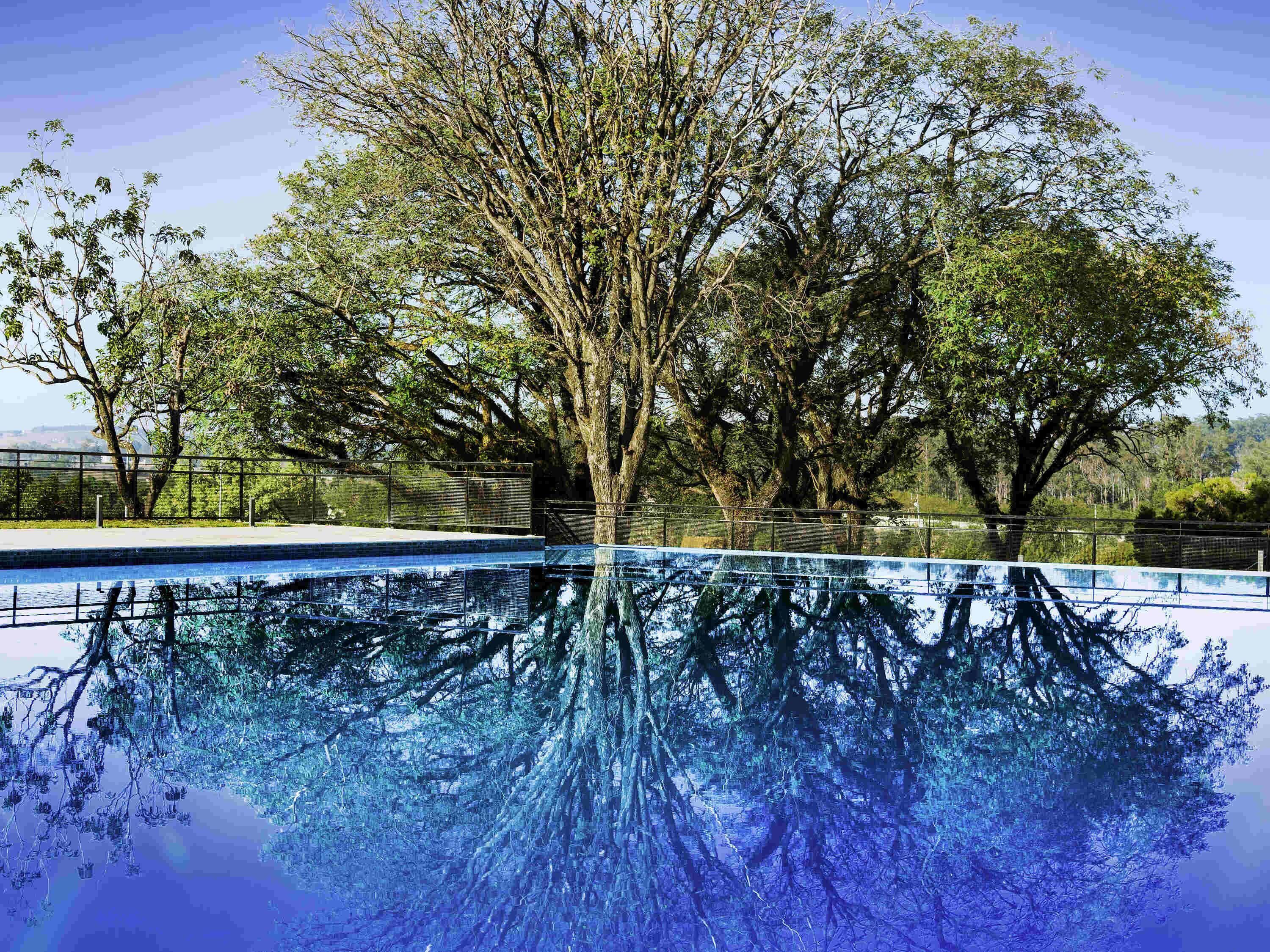 Outdoor pool, pool umbrellas, pool loungers