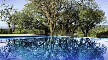 Outdoor pool, pool umbrellas, sun loungers