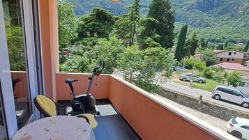 Apartment, 1 Bedroom, Balcony | Terrace/patio