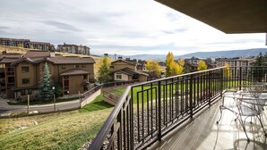 A residential area with houses, a grassy area, and a metal fence. - BT207 | Ski In | Great Views | Indoor Pool | Hot Tub | Winter Shuttle (Steamboat Springs)