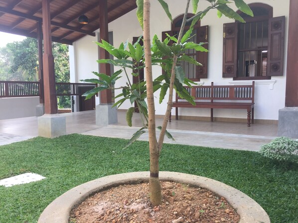 Garden - Natures Lodge-Galle (Galle)