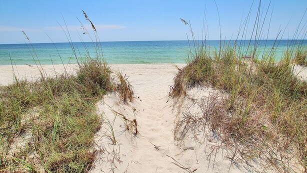 A beach path leading to the ocean with clear skies.