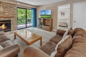 TV, fireplace, DVD player