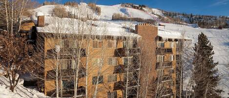 Un edificio de varios pisos con fachada de ladrillo, rodeado de árboles cubiertos de nieve y un cielo azul despejado.