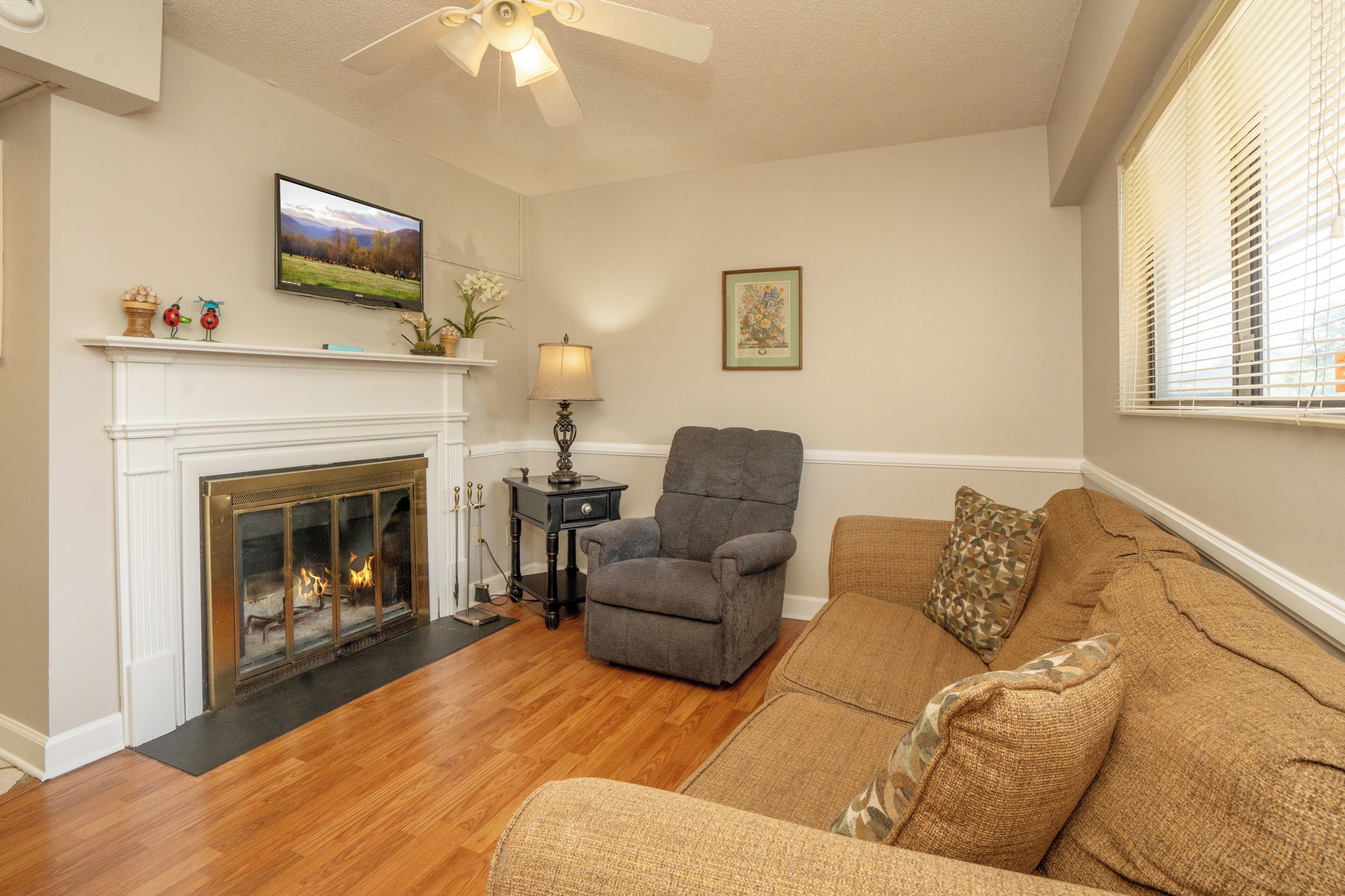 TV, fireplace