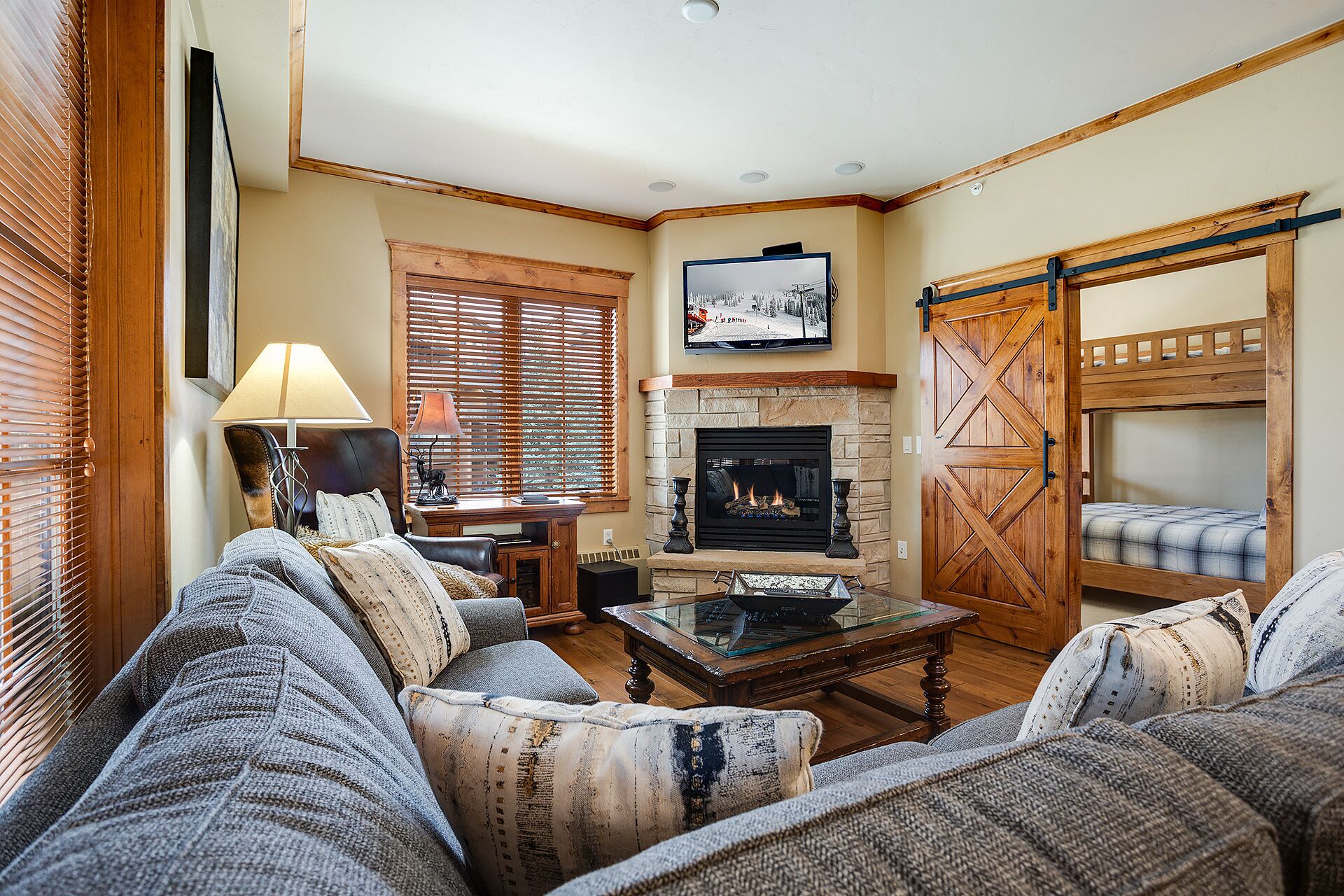TV, fireplace